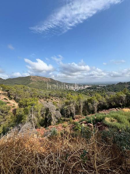Foto b8135f25-7e0f-4df5-8e42-80bb46997b24. Terreno residencial en Monteamor-La Carrasca-El Peucal Náquera