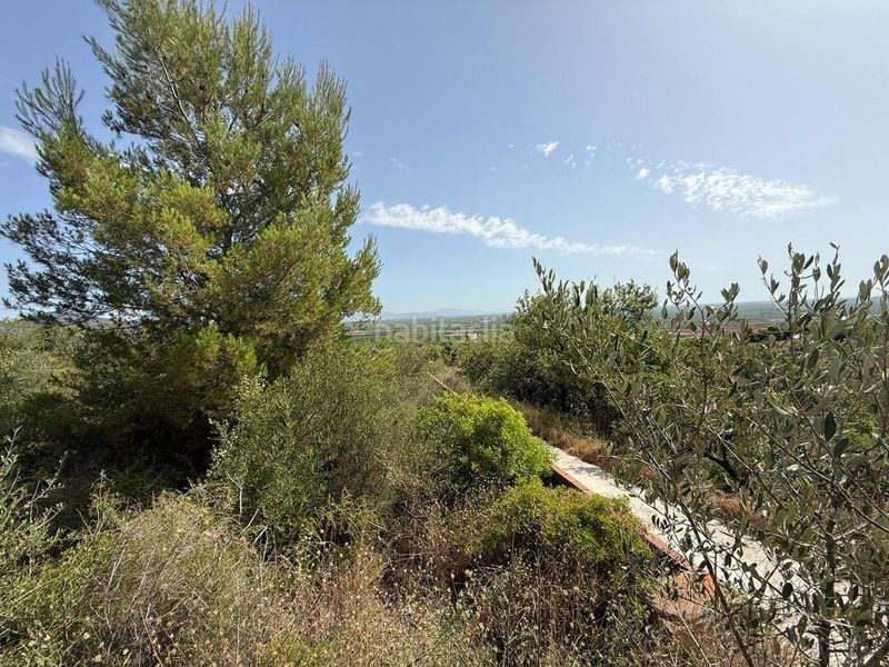 Foto f216abf7-bef2-4af6-96a1-ded1033085d6. Finca rústica a Villavieja