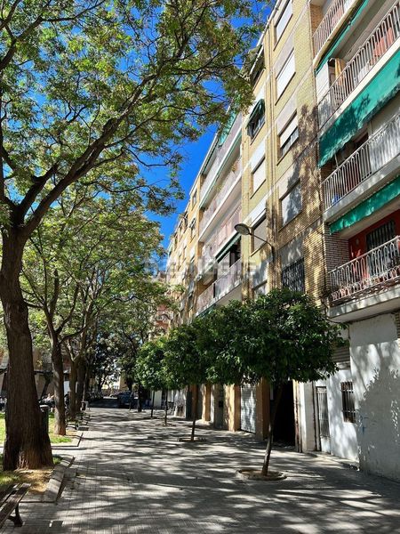 Foto c196102c-3a79-4b64-91be-5f39e8adcce0. Pis a Soternes Valencia