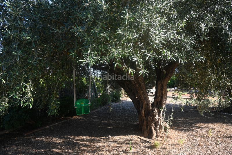 Foto a2b324ff-dab8-4599-89ea-0544a161d0c9. Xalet amb aparcament piscina a Betxí