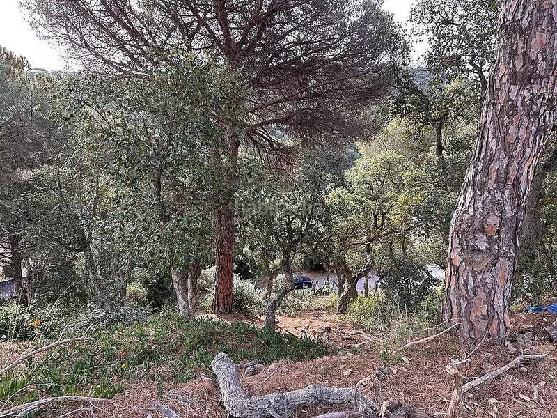 Foto 39464e1f-2f37-4c82-b946-24f1f8994f55. Terreny residencial a Serra Brava Lloret de Mar