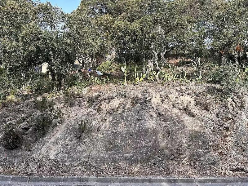 Foto 6f2c5159-f1f4-4cd4-be58-06b09d514cc3. Terreny residencial a Serra Brava Lloret de Mar