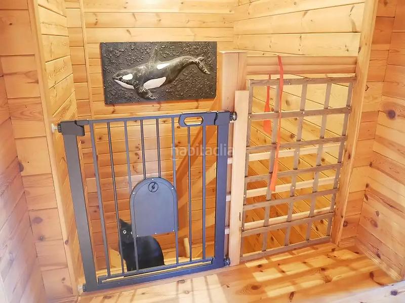 Foto 2f6dd4aa-6dcd-4e9f-9cc8-05d7d43cf47e. Chalet mit parking in Sils