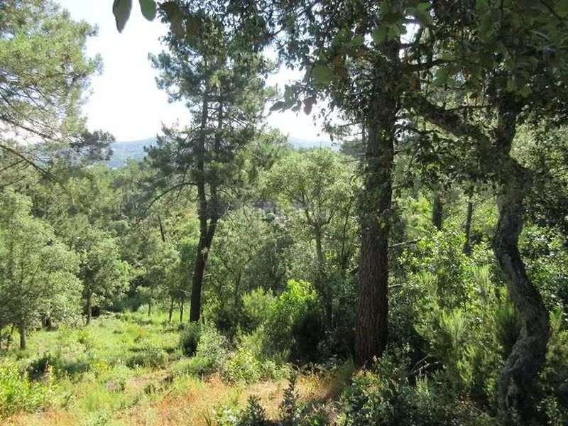 Foto 15f9aabc-f0c7-4ee9-b674-bf98309f0e16. Casa a El Molí-El Rieral Lloret de Mar