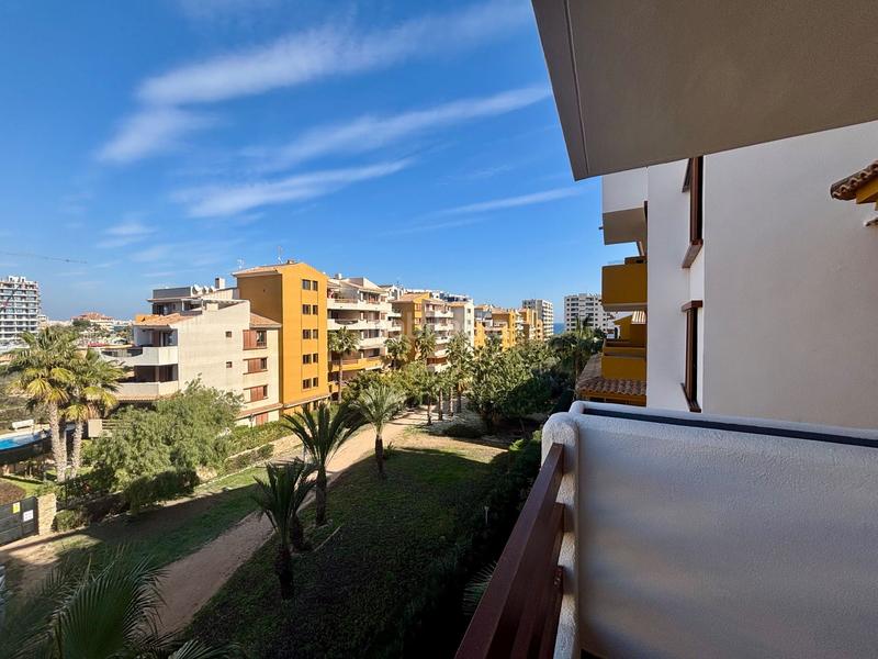 Foto 16505f77-04a8-4e7c-9500-6fcac499cf48. Lloguer apartament amb calefacció piscina a Punta Prima Torrevieja