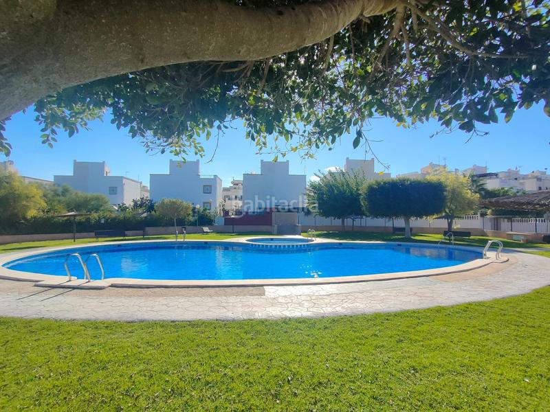 Foto cba07d01-7378-4bb6-a59e-8b840023294d. Lloguer casa amb calefacció piscina a La Florida Orihuela