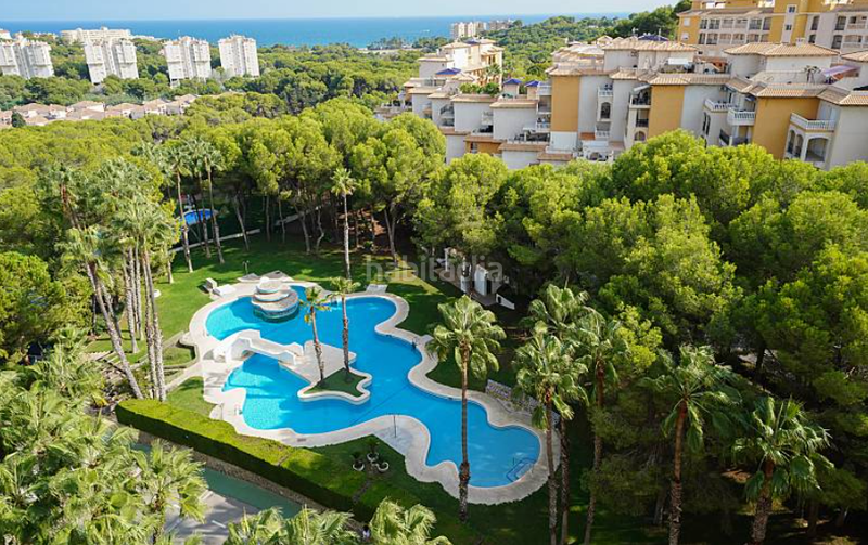 Foto b5cb4d22-961f-448f-977a-c238dc602a49. Alquiler apartamento magnifico piso en Campoamor en Orihuela
