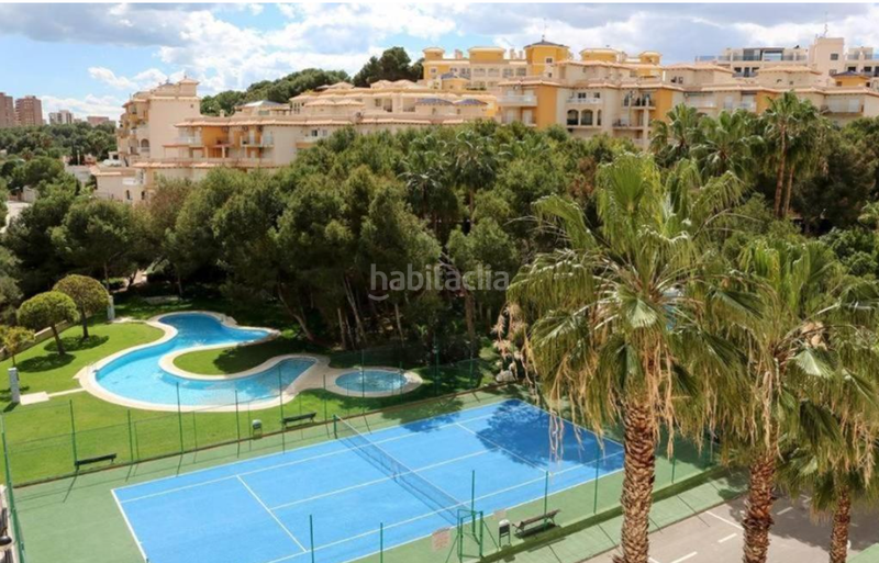 Foto 7341041a-61a2-4288-8896-8be0b3ec7ef6. Rent apartment with heating pool in Campoamor Orihuela