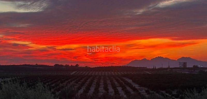 Foto 86f081d1-98ca-44a5-843d-5f9293713ab0. Lloguer pis amb calefacció piscina a Algorfa