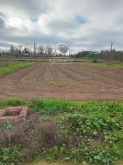 Finca rstica  Distrito la bordeta. Un solar rstico ideal para cultivo de 1500 a 1800 m2, con acces