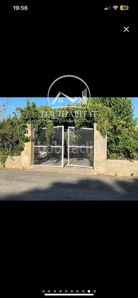 Foto 7ddfdda3-92e3-45f7-b60c-7510cd7fe42b. Finca rústica a Aitona