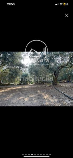 Foto aa73576c-7b1a-4161-a9d1-b9f65fd303e3. Finca rústica a Aitona