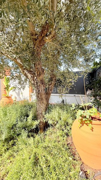 Foto d99f509d-1915-421f-8208-64ebcb1bec39. Casa adossada amb calefacció aparcament a Cunit residencial Cunit