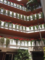 Location Appartement  Calle los jazmines. Piso en nueva andalucía. 2 plazas de parking!