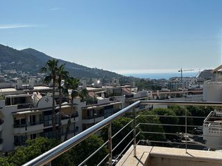 Pis a Els Molins - Pins Vens