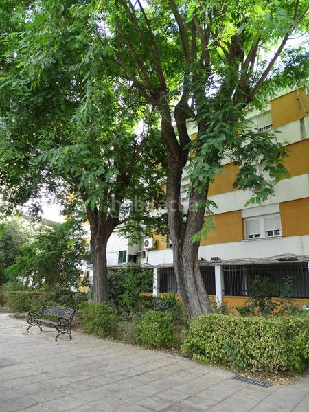 Foto cb11e1e8-d92e-4ac6-9e39-de94912c1196. Appartement avec chauffage dans Bellavista Sevilla