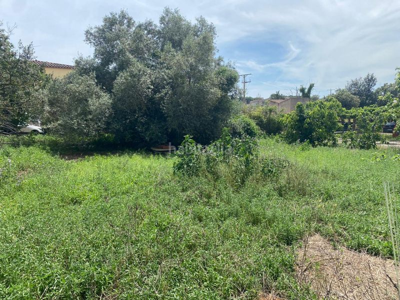Foto c3ea1fd2-c236-442b-aa78-7b31628d3522. Terreny residencial a Poble Pals