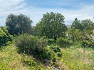 Terreno residenziale in Pals