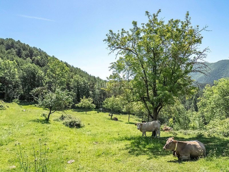 Foto a11618b7-ab79-4520-8e99-35c550cb61bc. Country house with heating parking in Ripoll