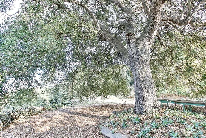 Foto dac7e7a8-3fab-4267-bcdb-a81bbfbdbfb4. Masia a Vilassar de Dalt