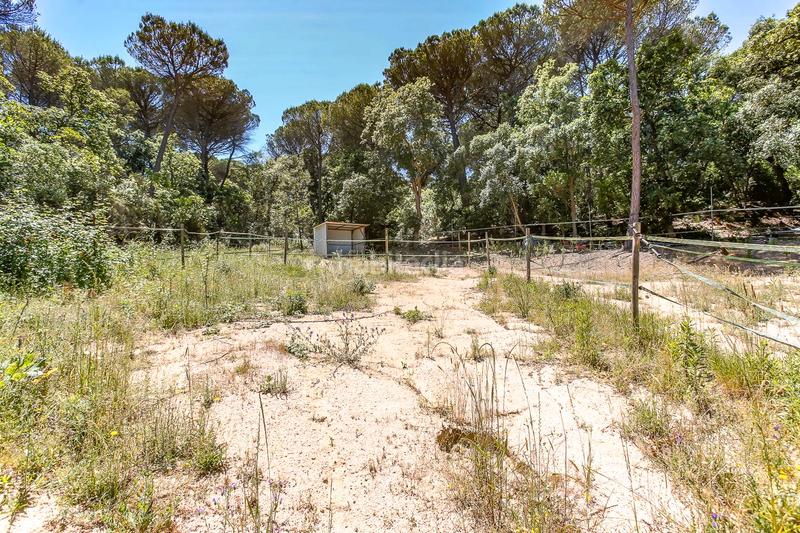 Foto 3582c6b1-e096-4a4c-b88a-c0f553524cd0. Casale in Montbarbat Maçanet de la Selva