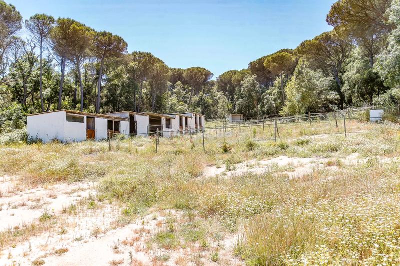 Foto 7c0987c4-b0dc-4e2b-96cf-a419197a2264. Casale in Montbarbat Maçanet de la Selva