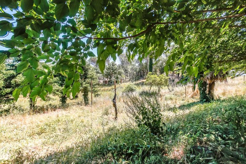 Foto 92793834-e333-4cf8-9ebb-1999b875b935. Casale in Montbarbat Maçanet de la Selva