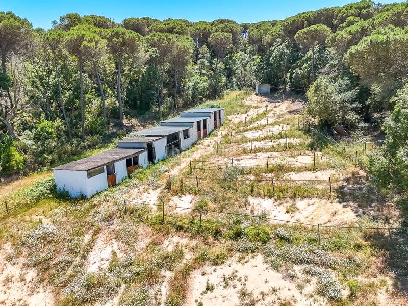 Foto e4b07fef-947d-49d7-8c8b-99a1ea17ca43. Casale in Montbarbat Maçanet de la Selva