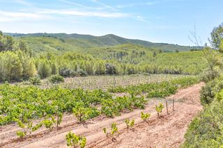 Country house in Masllorenç