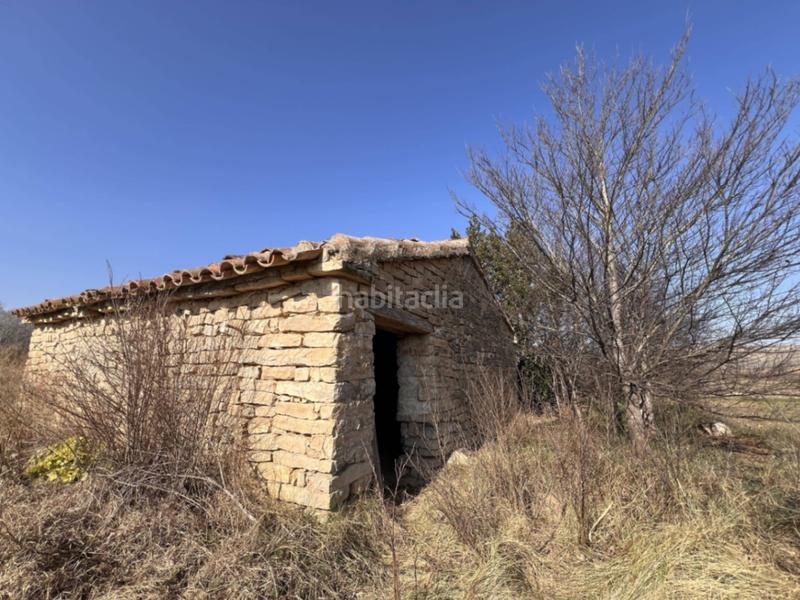 Foto 42cf5f0a-6f98-468d-afc9-6e0f5bf89147. Terreny residencial a Ontiñena