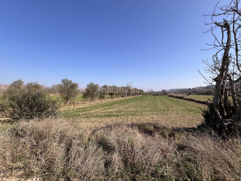 Foto 9f5dcee5-de46-4ea8-8f0c-57fedb894430. Terreny residencial a Ontiñena