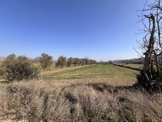 Residential Plot in Ontiñena