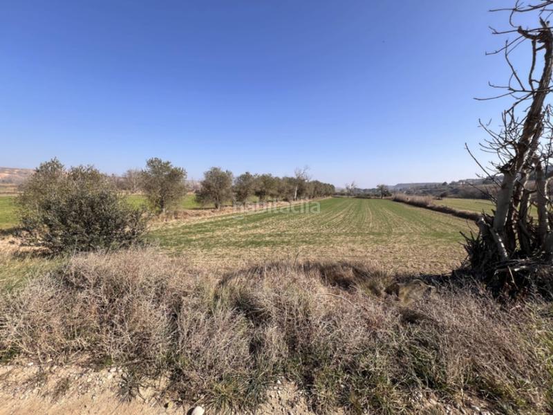 Foto 97ba147a-ffd8-43fd-a544-6074671c7d56. Terrain résidentiel dans Ontiñena