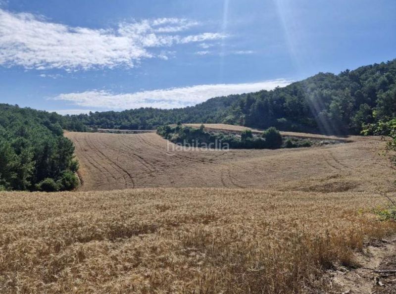 Foto b90ce567-cb62-4851-9b32-602d7a1292c4. Bauernhof in Sant Pere Sallavinera