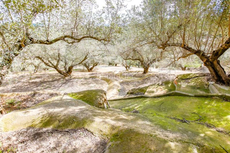 Foto 38d38396-9a67-42ef-b324-febbbb8e2289. Masia a Santa Bàrbara