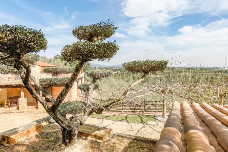 Foto 79a44487-ec47-40cb-a879-4277d8b908aa. Masia a Santa Bàrbara