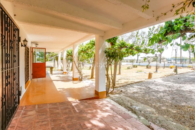 Foto cf88b08c-1fca-4281-986b-e53fb2cc2f4d. Masia a Deltebre