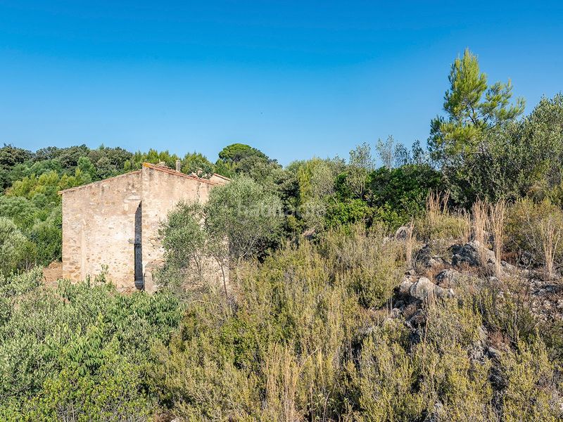 Foto f25cc6a8-c29f-446b-a697-37710ce3805c. Masia a Llers