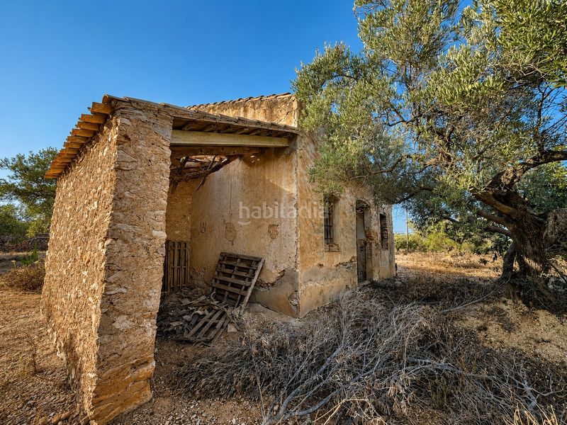 Foto 56cab293-b49e-4df5-b71a-df009d191328. Masia a Ampolla (L´)
