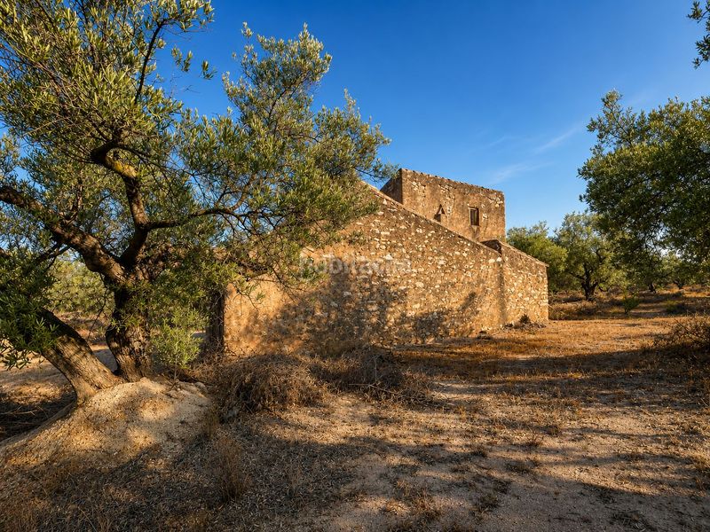 Foto e1de503a-d905-45f6-92f3-7f009fc0203c. Masia a Ampolla (L´)