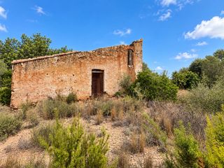 Country house in Ampolla (L´)