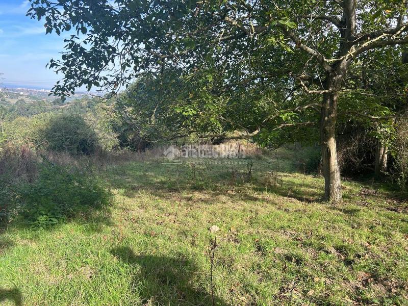 Foto 245dd009-6918-4647-ba77-b72711f62b44. Wohngrundstück in Cenero Gijón