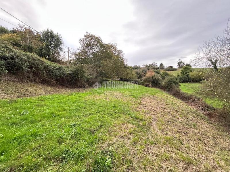 Foto 61ac22ac-ea14-4ee1-87ba-7dde5cadd0fa. Wohngrundstück in Cenero Gijón