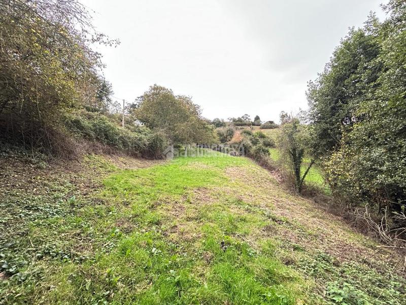 Foto 7701e488-9ea5-4397-868b-6f340d7f156e. Wohngrundstück in Cenero Gijón