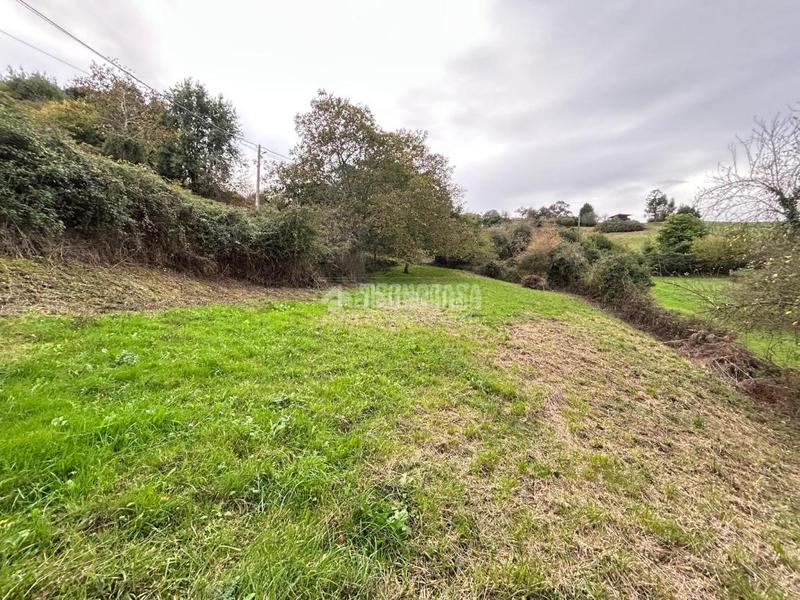 Foto 8137c710-7d0d-4ecc-8e04-beae58d888de. Wohngrundstück in Cenero Gijón