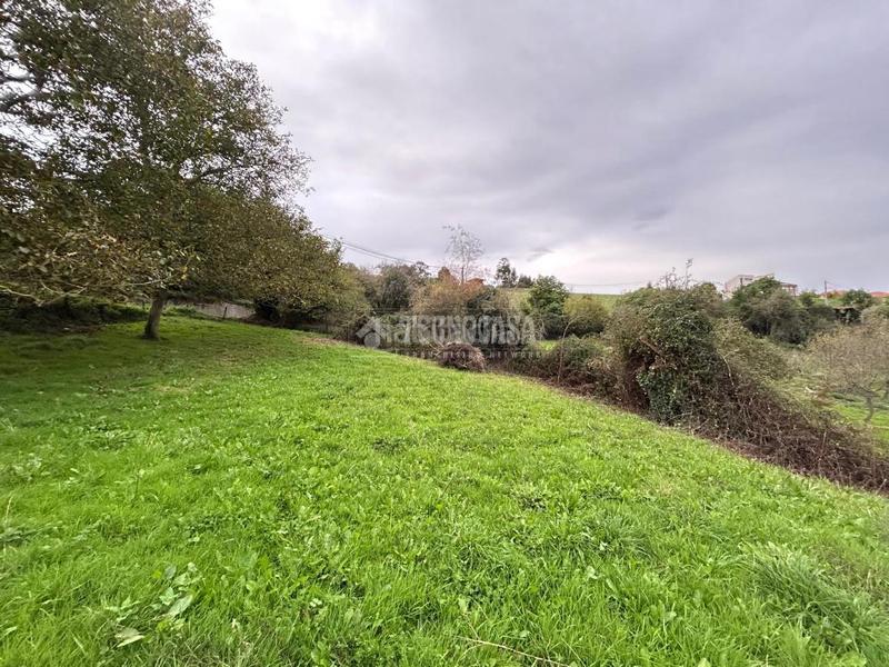 Foto aab71da1-0bf6-4fd3-9f37-3eb1b9e10dbe. Wohngrundstück in Cenero Gijón