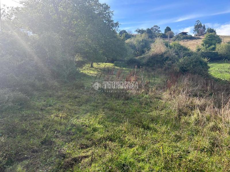 Foto d4ae6d84-8aa5-416b-910d-02466db84aaf. Wohngrundstück in Cenero Gijón