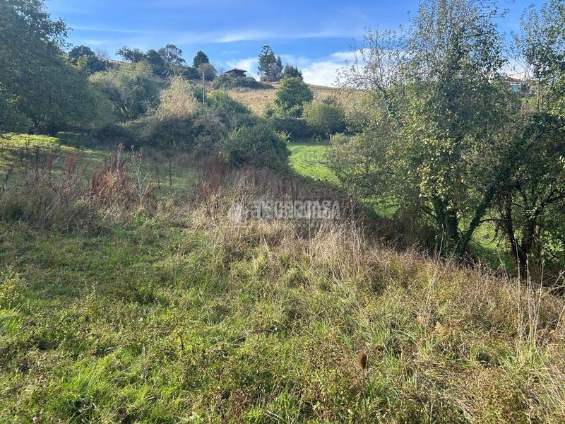 Foto ddfa9dba-6e4f-4e21-b33d-4fdcfd3dc1f3. Wohngrundstück in Cenero Gijón