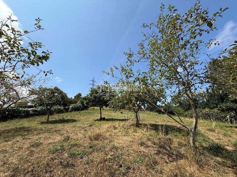 Foto 70ce8cc3-3c34-44c1-9bca-822770a3c9ab. Maison dans Cenero Gijón