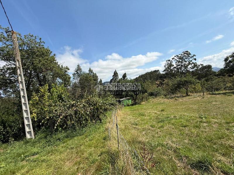 Foto acf20e3d-5156-4988-967a-463ee5836662. Maison dans Cenero Gijón